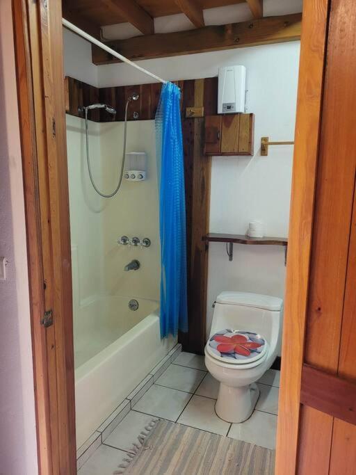 Appartements Au Coeur De Maharepa Maharepa  Εξωτερικό φωτογραφία